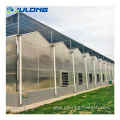 Farming Multi-Span Greenhouse For Tomato lettuce strawberry